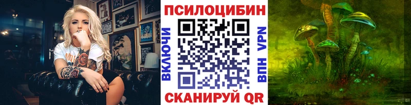 Псилоцибиновые грибы Psilocybe  Купить где  Новоульяновск 