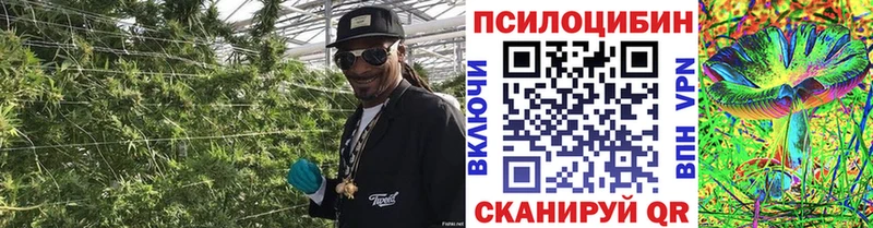 Галлюциногенные грибы ЛСД Новоульяновск
